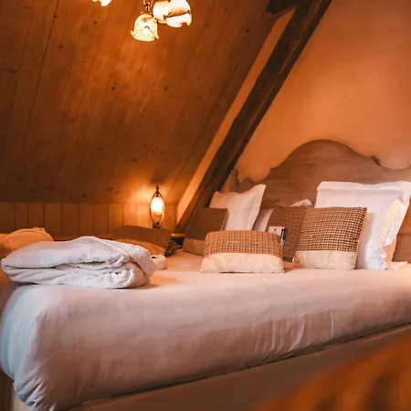 Hotel Les Violettes & 4*