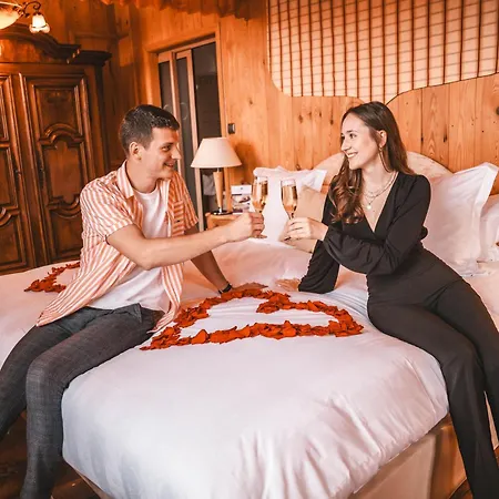 Hotel Les Violettes & 4*