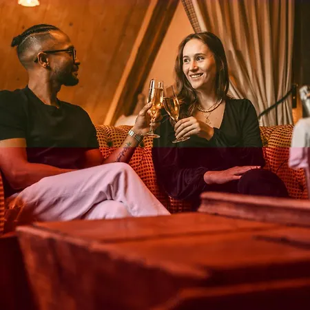 Hotel Les Violettes & 4*