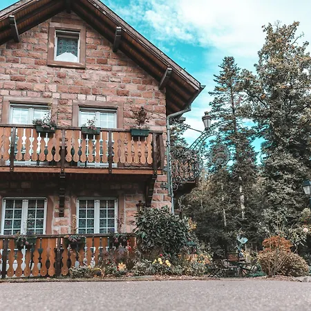 Hotel Les Violettes & 4*