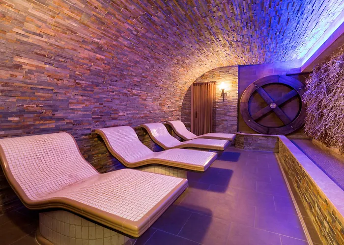 Les Violettes & Hotel 4*