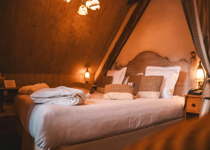 Hotel Les Violettes & 4*