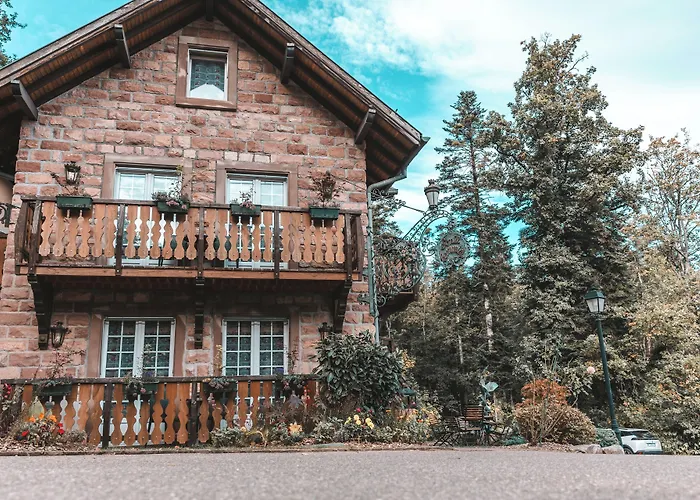 Hotel Les Violettes & 4*